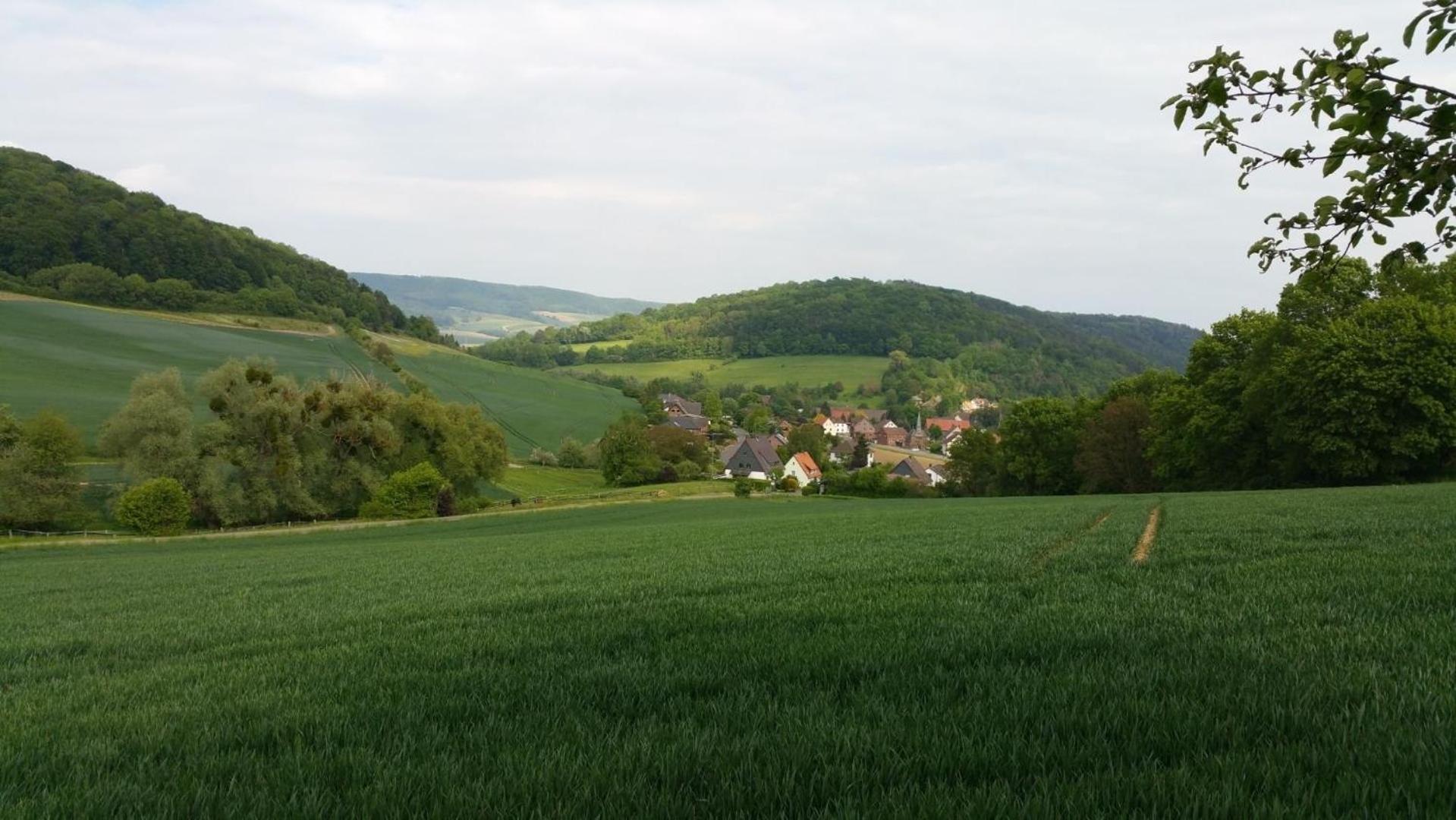 Appartamento Urlaub Mit Hund In Bodenwerder Esterno foto